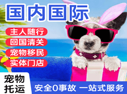 鄂伦春航空货运国际宠物托运 【国